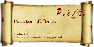 Polster Ábris névjegykártya